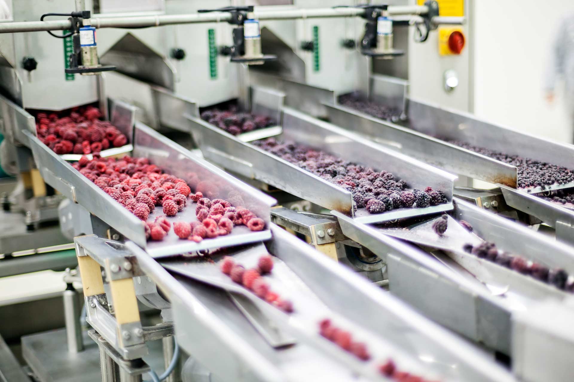 Dry Ice For Food Processing And Packaging Dry Ice WA dry-ice-for-food-processing-and-packaging-dry-ice-wa