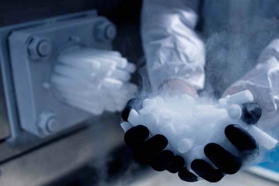 Gloved hands holding dry ice pellets